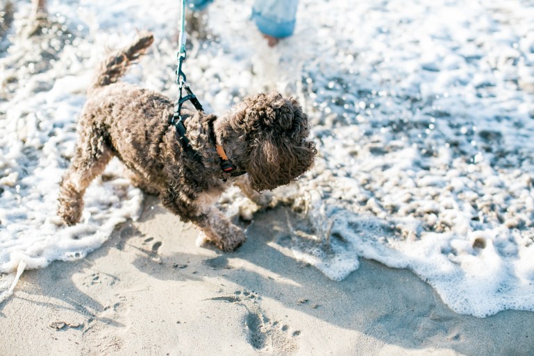 Maxine&amp;Marshall-44